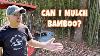 Paillage Du Bambou Avec Le Broyeur De Broussailles Baumalight Mp348 - Vidéo Mcg 256